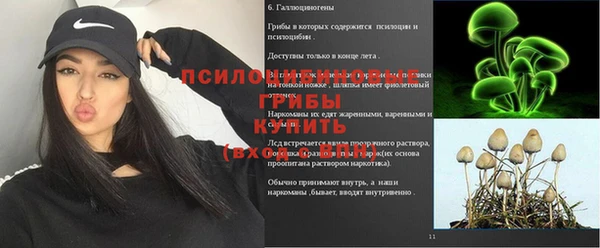 spice Беломорск