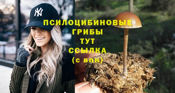 круглые Липки