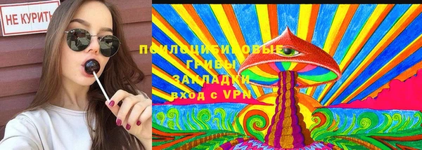 spice Беломорск