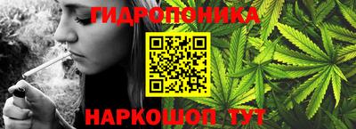 бошки Дубна