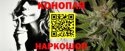 бошки Дубна