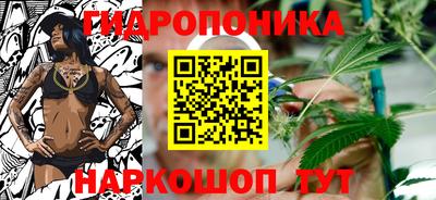 каннабис Аргун