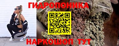 бошки Дубна