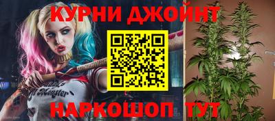 бошки Дубна