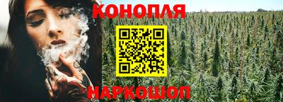 бошки Дубна
