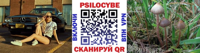 Галлюциногенные грибы Psilocybe  Малоярославец 