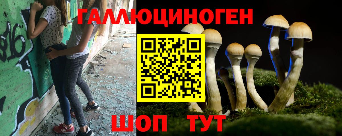 Псилоцибиновые грибы мицелий  где продают   Малоярославец 