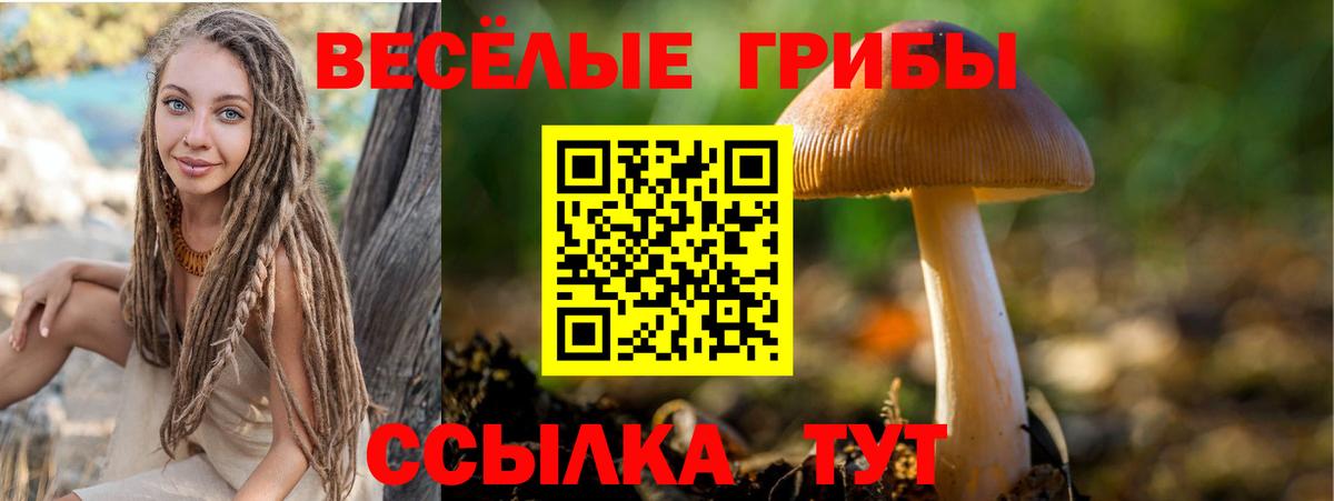 Малоярославец  Псилоцибиновые грибы мицелий  Вход с VPN  Псилоцибиновые грибы Magic Shrooms 